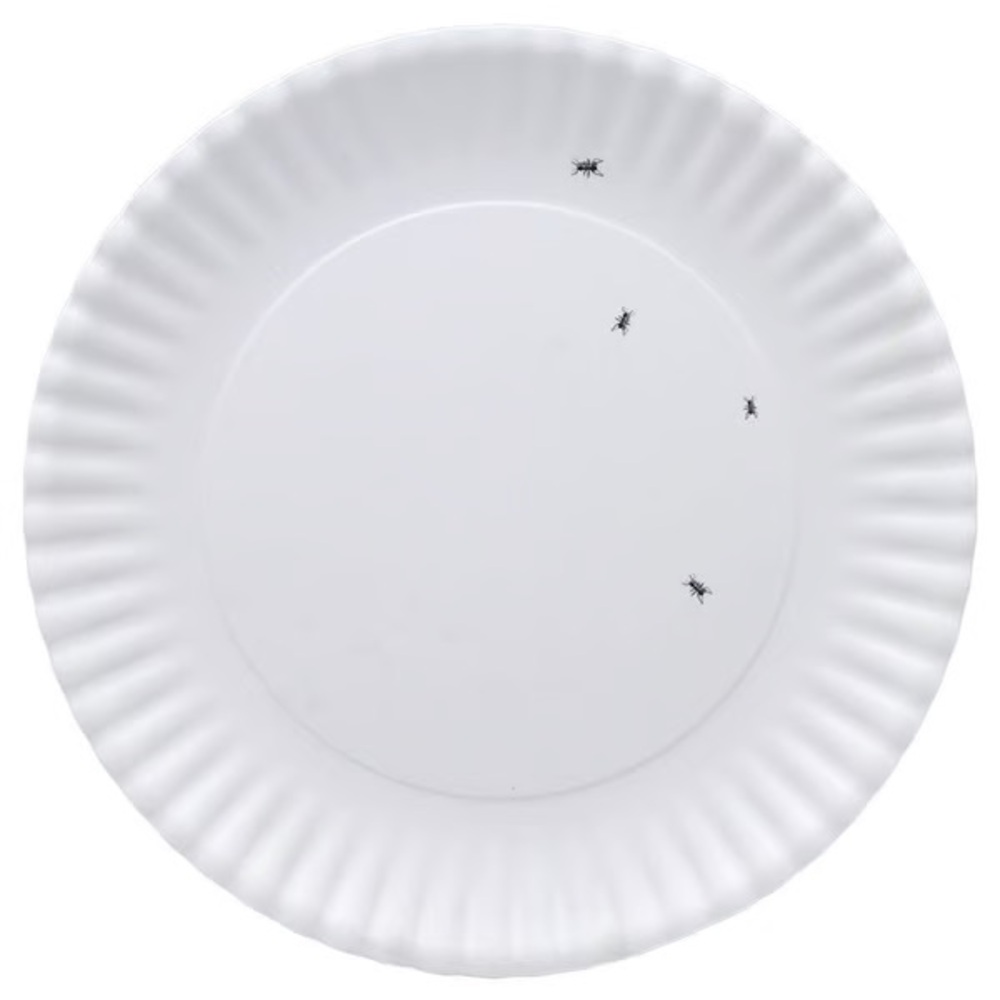 ONE HUNDRED 80 DEGREES White w Ants Melamine Dinnerware - 16 in Platter